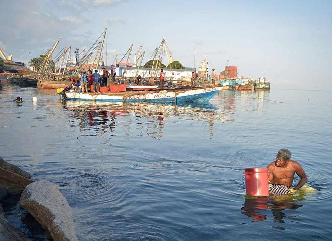 Tanzania's fisheries export surge boosts blue economy momentum