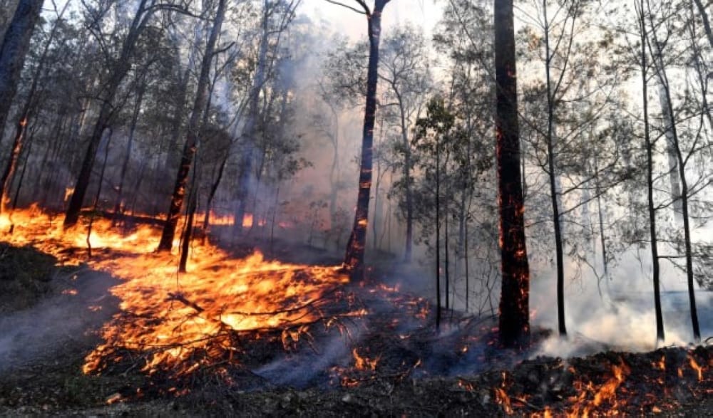 Evacuations ordered amid catastrophic bushfire danger in Australia's Victoria