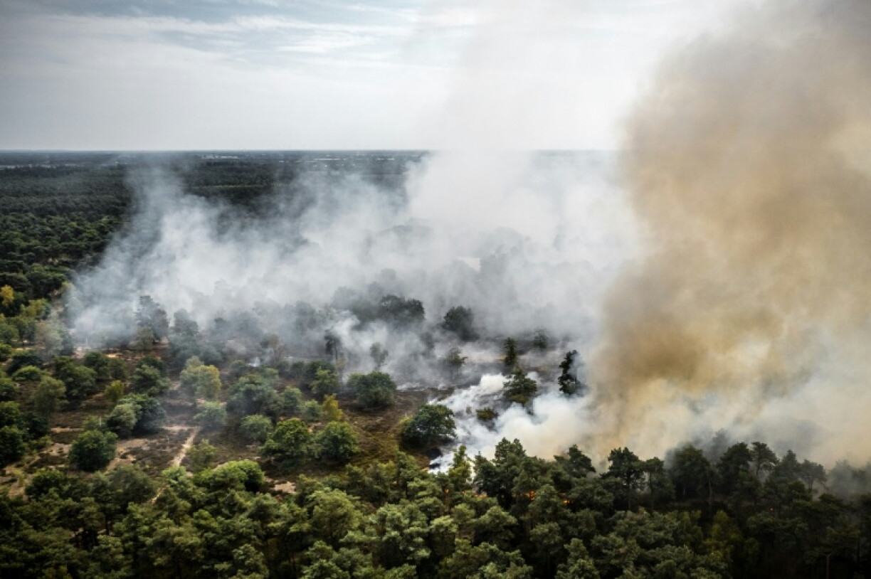 Forest fire spreads in Dutch nature reserve