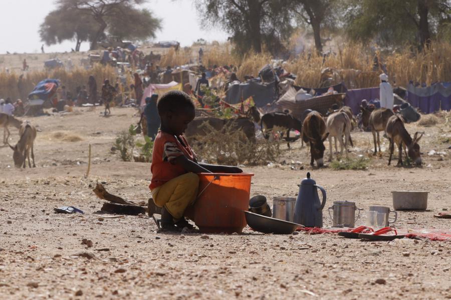 16 killed, 8 injured in paramilitary forces attack in W. Sudan: volunteer groups