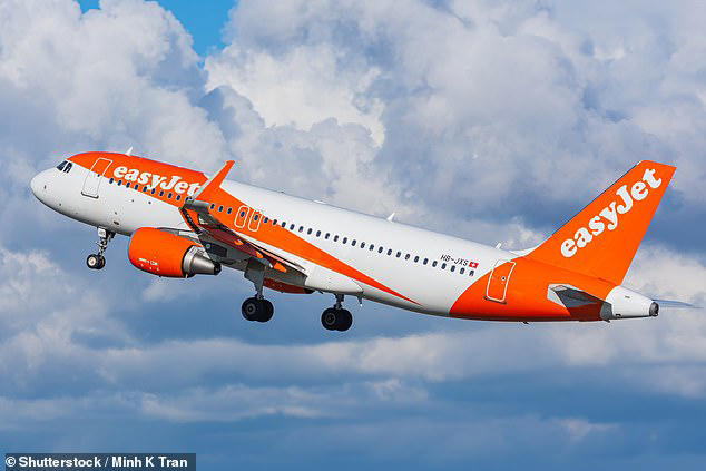 Emergency landing for EasyJet flight after pilot collapses