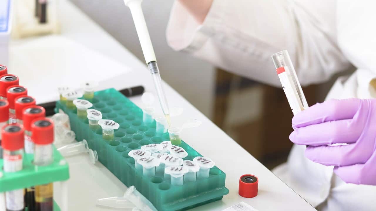 Australian team develops targeted therapy for rare blood cancer