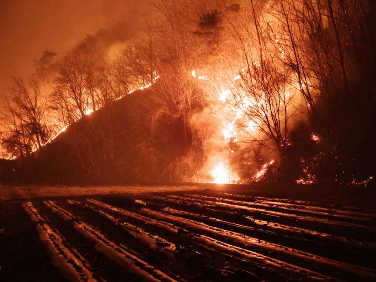 Uncontrollable Wildfires in South Korea Consumes About 15,000 Hectares