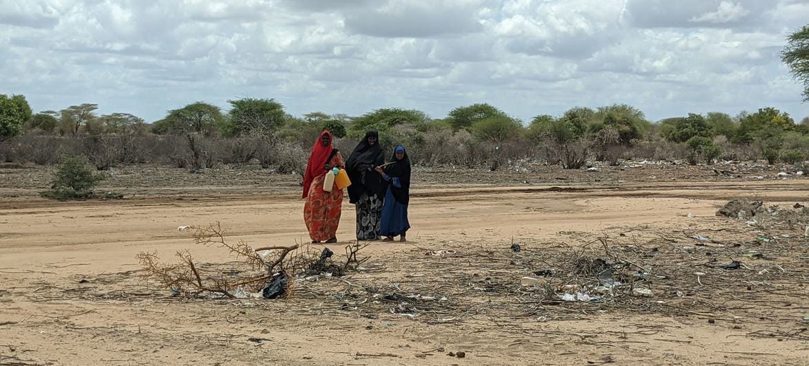Drought continues to impact millions in Somalia: UN