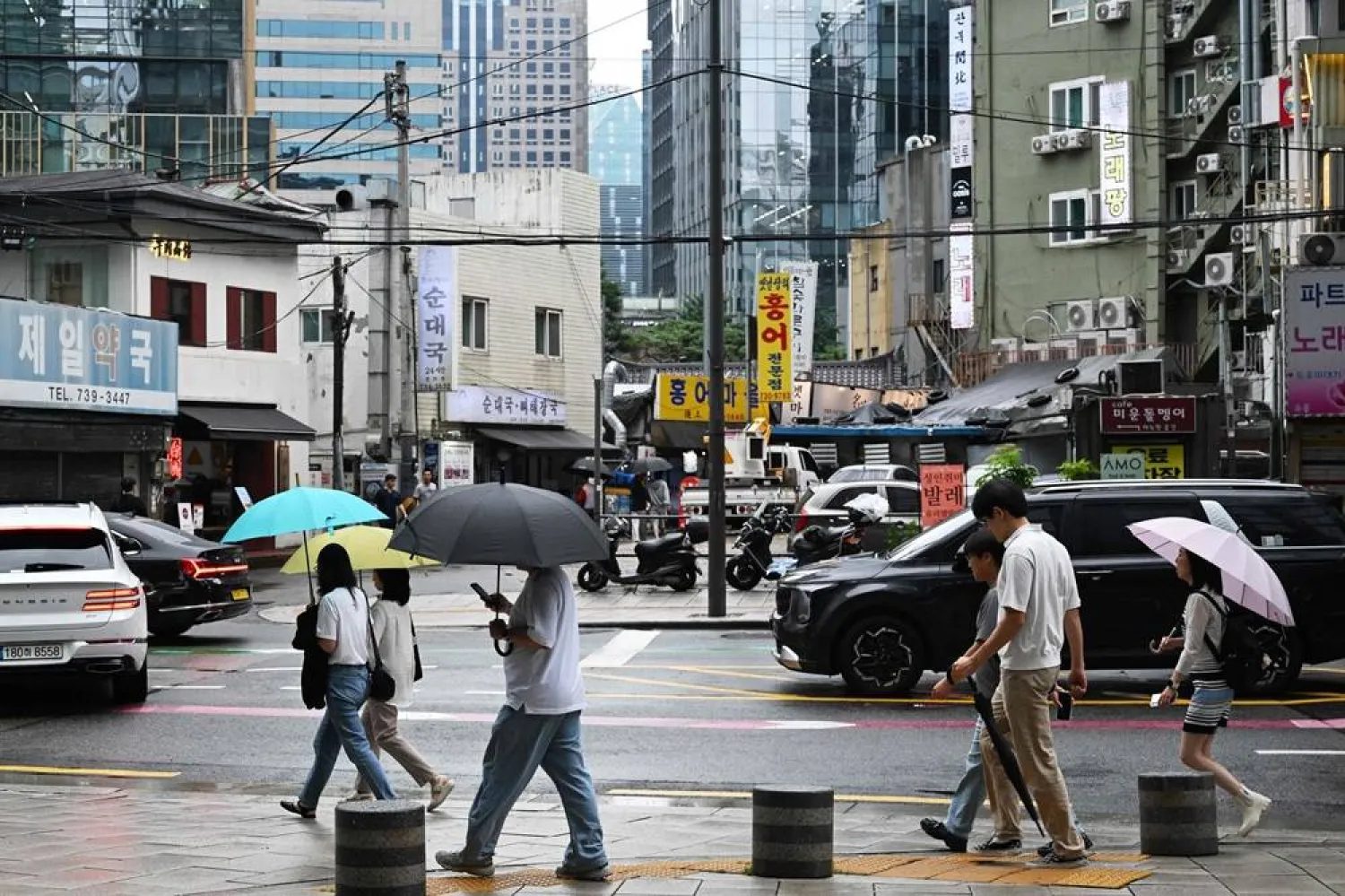 South Korea Restaurant Owner Faces Jail for Ant Sorbet