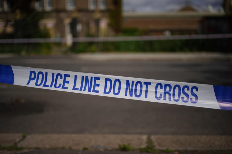 Murder investigation launched after man fatally stabbed in Luton