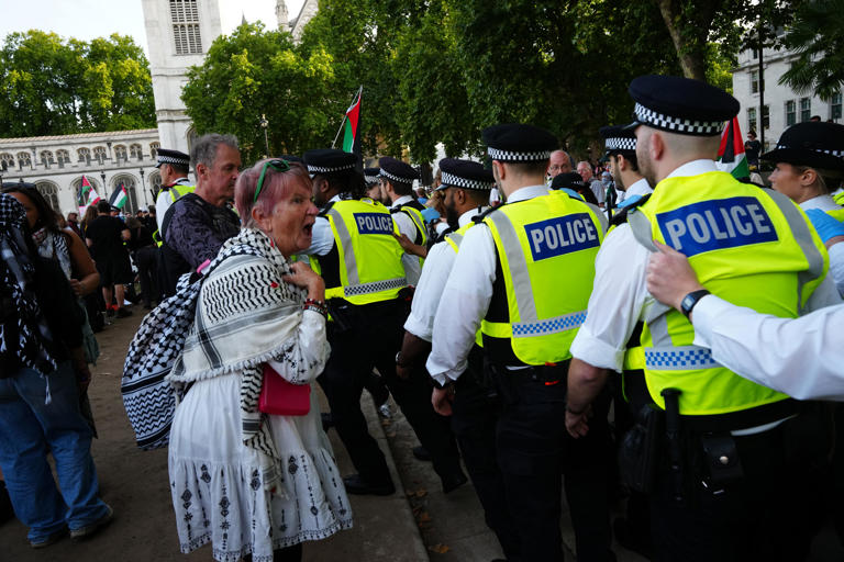 At least 425 arrests as police drag away Palestine Action protesters in Parliament Square