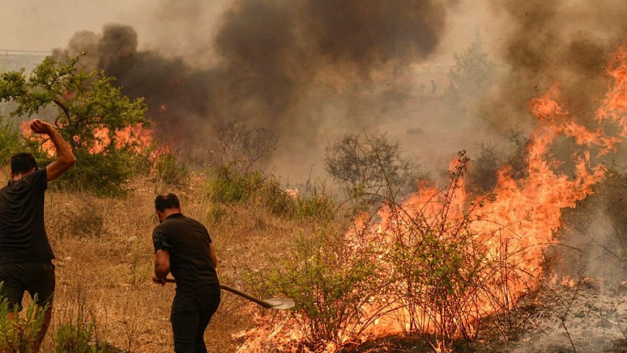 Türkiye arrests 10 suspects over forest fires: minister