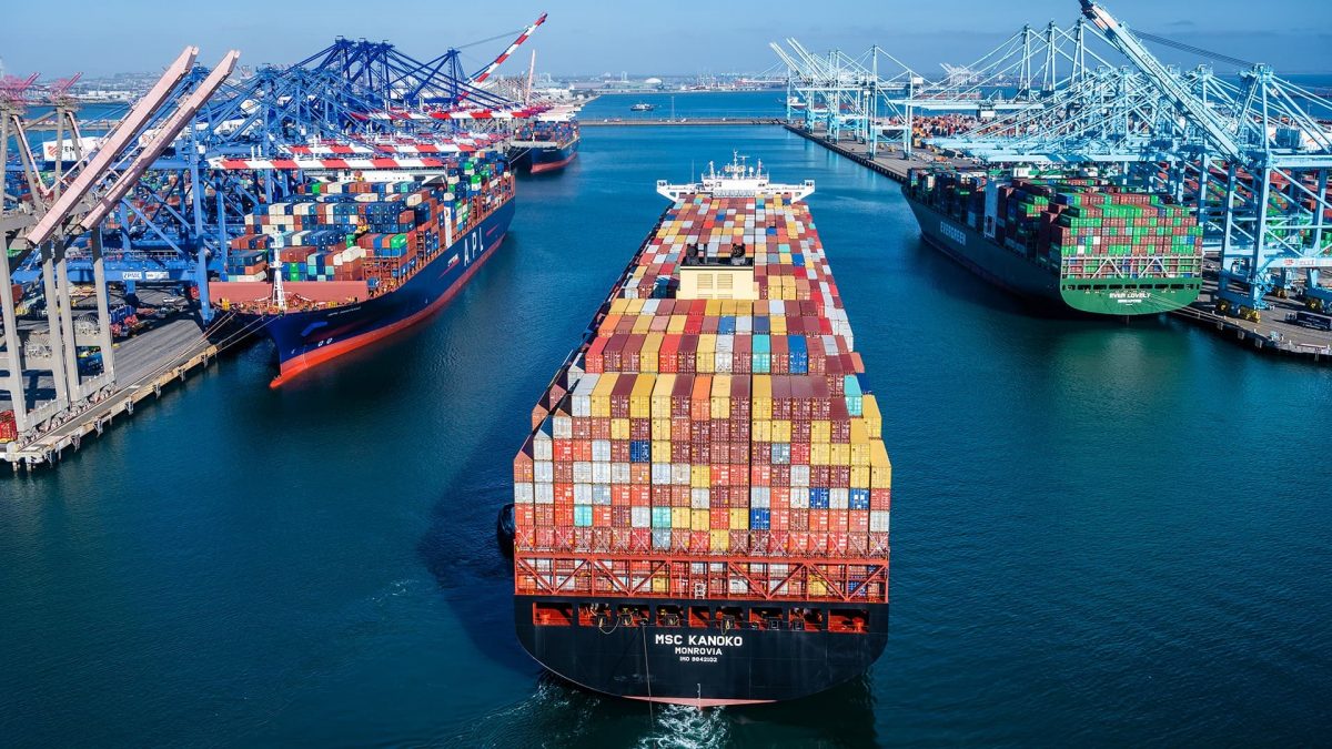 Interview: WTO key to resolving global trade tensions, says Italian economist