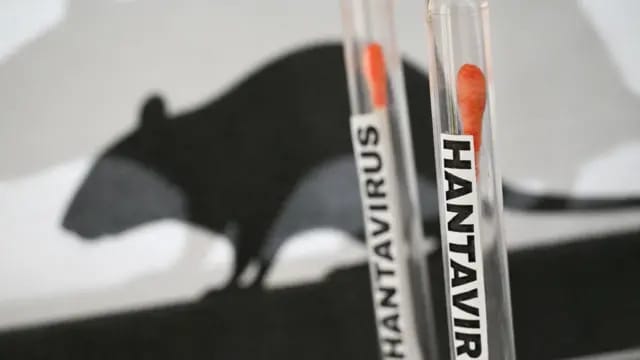 1 American tested positive for hantavirus