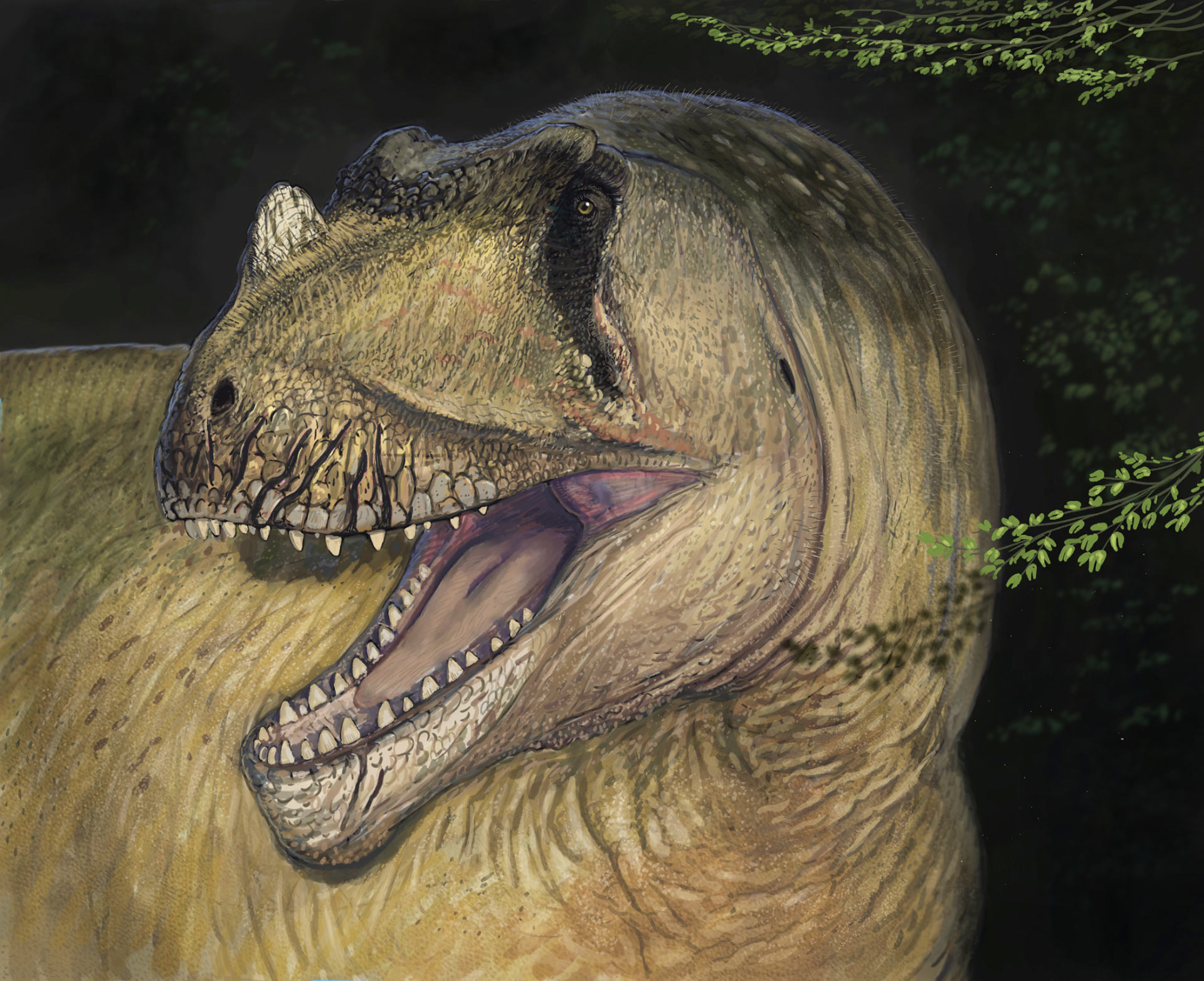 Egypt.. Discovery of a Giant Dinosaur After Its Remains Were Destroyed During World War II.