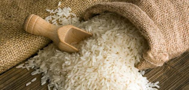 Singapore, Cambodia sign food security pact to strengthen rice trade cooperation