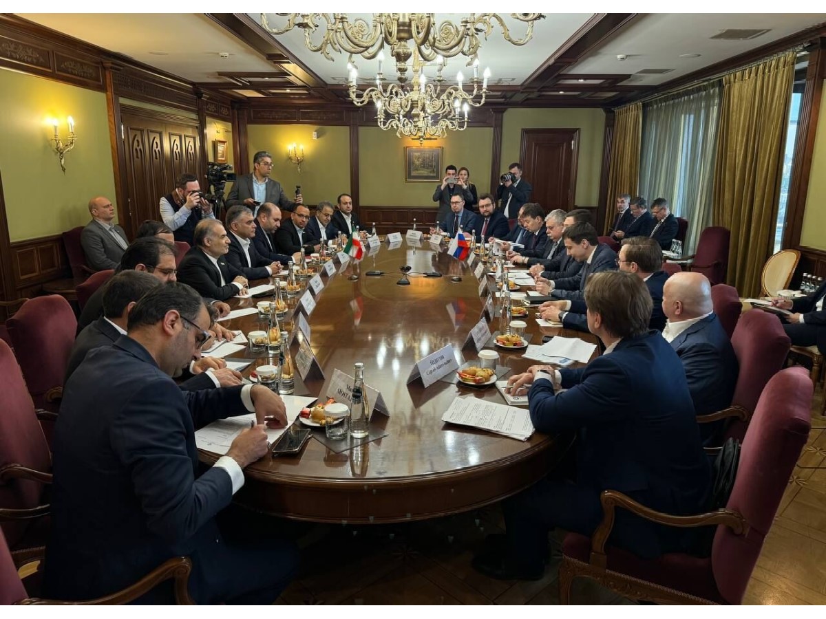 Russian Deputy PM Meets Iran's Oil Minister