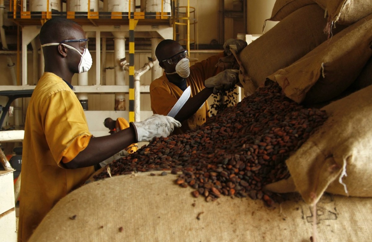 Cote d'Ivoire inaugurates China-backed cocoa complex